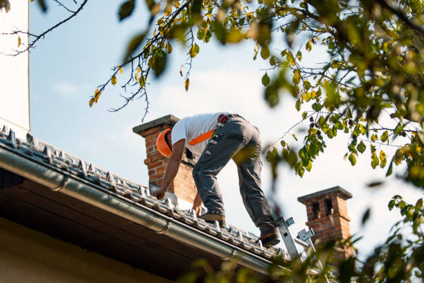 Best Storm Damage Roof Repair  in Fort Drum, NY